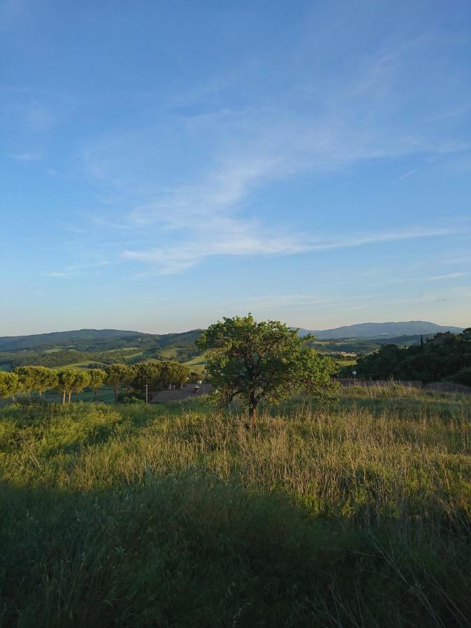 Casa Panorama Lägenhet Casole dʼElsa Exteriör bild